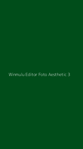 Tampilan Antarmuka Aplikasi Winmulu Editor Foto Aesthetic - 3