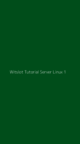 Tampilan Antarmuka Aplikasi Witslot Tutorial Server Linux - 1