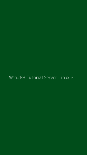 Tampilan Antarmuka Aplikasi Wso288 Tutorial Server Linux - 3
