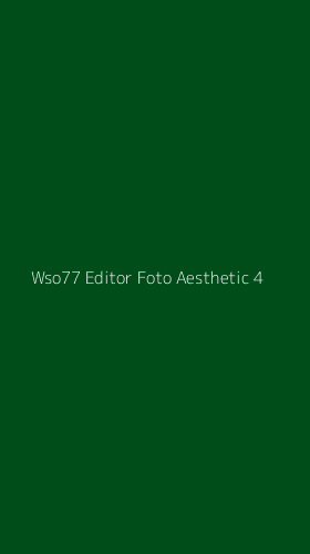 Tampilan Antarmuka Aplikasi Wso77 Editor Foto Aesthetic - 4