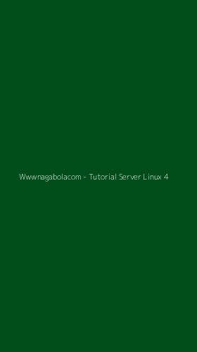 Tampilan Antarmuka Aplikasi Wwwnagabolacom - Tutorial Server Linux - 4