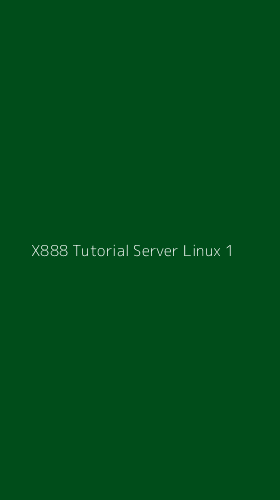 Tampilan Antarmuka Aplikasi X888 Tutorial Server Linux - 1