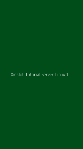 Tampilan Antarmuka Aplikasi Xinslot Tutorial Server Linux - 1