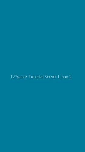 Tampilan Antarmuka Aplikasi 127gacor Tutorial Server Linux - 2