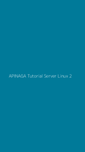 Tampilan Antarmuka Aplikasi Apinaga Tutorial Server Linux - 2