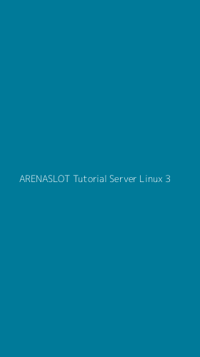 Tampilan Antarmuka Aplikasi Arenaslot Tutorial Server Linux - 3