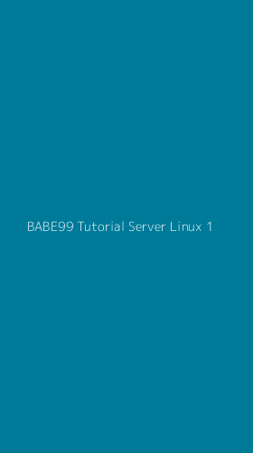 Tampilan Antarmuka Aplikasi Babe99 Tutorial Server Linux - 1