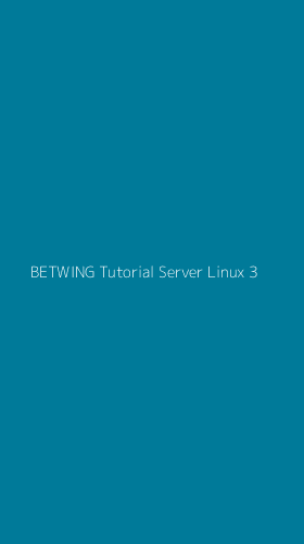 Tampilan Antarmuka Aplikasi Betwing Tutorial Server Linux - 3