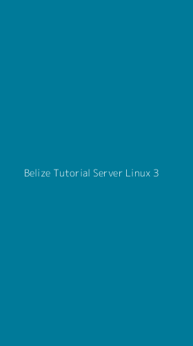 Tampilan Antarmuka Aplikasi Belize Tutorial Server Linux - 3