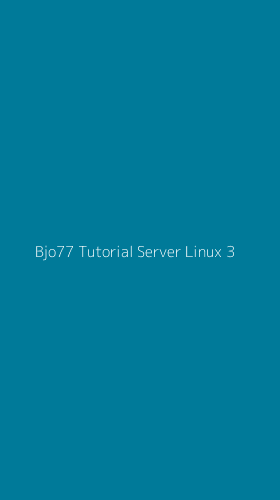 Tampilan Antarmuka Aplikasi Bjo77 Tutorial Server Linux - 3