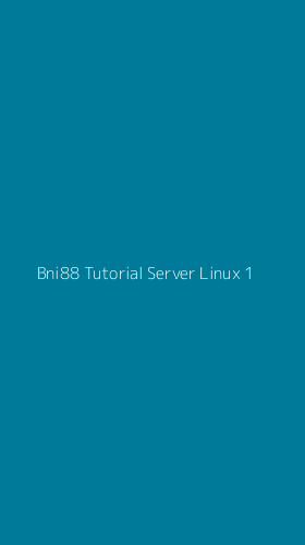 Tampilan Antarmuka Aplikasi Bni88 Tutorial Server Linux - 1