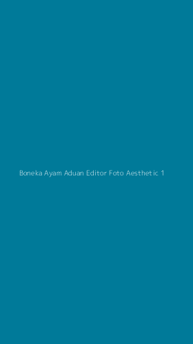 Tampilan Antarmuka Aplikasi Boneka Ayam Aduan Editor Foto Aesthetic - 1