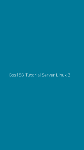 Tampilan Antarmuka Aplikasi Bos168 Tutorial Server Linux - 3
