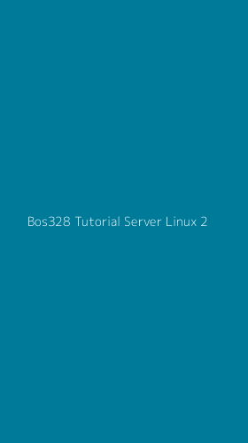 Tampilan Antarmuka Aplikasi Bos328 Tutorial Server Linux - 2