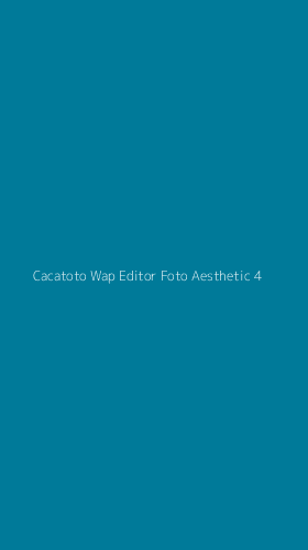 Tampilan Antarmuka Aplikasi Cacatoto Wap Editor Foto Aesthetic - 4