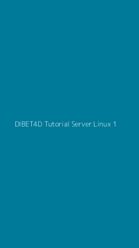 Tampilan Antarmuka Aplikasi Dibet4d Tutorial Server Linux - 1