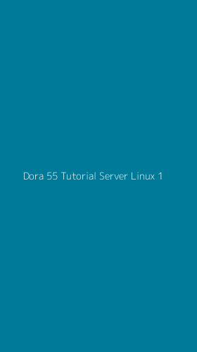 Tampilan Antarmuka Aplikasi Dora 55 Tutorial Server Linux - 1