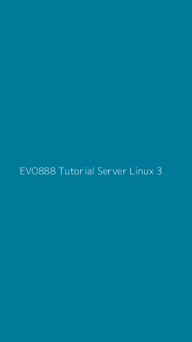 Tampilan Antarmuka Aplikasi Evo888 Tutorial Server Linux - 3