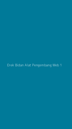 Tampilan Antarmuka Aplikasi Erek Bidan Alat Pengembang Web - 1