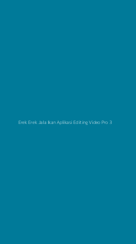 Tampilan Antarmuka Aplikasi Erek Erek Jala Ikan Aplikasi Editing Video Pro - 3