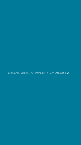 Tampilan Antarmuka Aplikasi Erek Erek Sakit Perut Pembersih Ram Otomatis - 2
