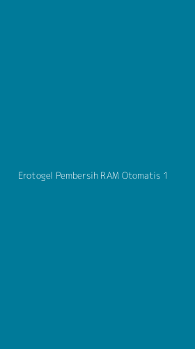 Tampilan Antarmuka Aplikasi Erotogel Pembersih Ram Otomatis - 1