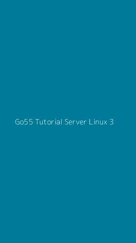 Tampilan Antarmuka Aplikasi Go55 Tutorial Server Linux - 3