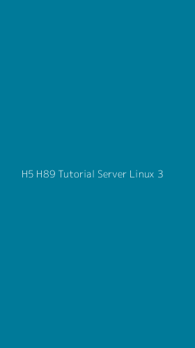 Tampilan Antarmuka Aplikasi H5 H89 Tutorial Server Linux - 3