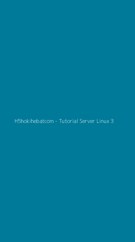 Tampilan Antarmuka Aplikasi H5hokihebatcom - Tutorial Server Linux - 3