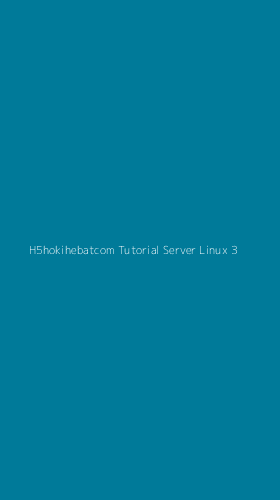 Tampilan Antarmuka Aplikasi H5hokihebatcom Tutorial Server Linux - 3