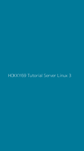 Tampilan Antarmuka Aplikasi Hokky69 Tutorial Server Linux - 3