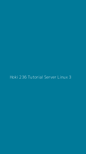 Tampilan Antarmuka Aplikasi Hoki 236 Tutorial Server Linux - 3