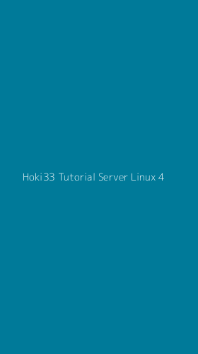 Tampilan Antarmuka Aplikasi Hoki33 Tutorial Server Linux - 4