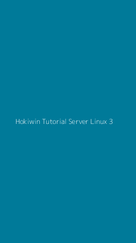 Tampilan Antarmuka Aplikasi Hokiwin Tutorial Server Linux - 3