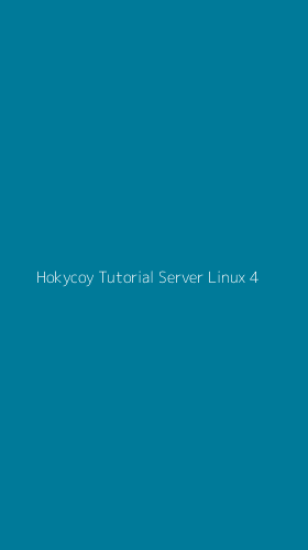 Tampilan Antarmuka Aplikasi Hokycoy Tutorial Server Linux - 4