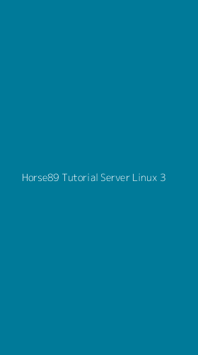 Tampilan Antarmuka Aplikasi Horse89 Tutorial Server Linux - 3