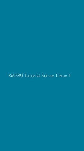 Tampilan Antarmuka Aplikasi Km789 Tutorial Server Linux - 1