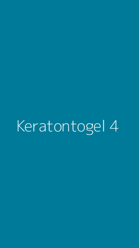 Tampilan Antarmuka Aplikasi Keratontogel - 4