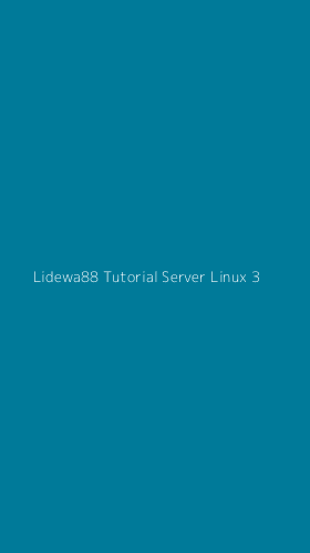 Tampilan Antarmuka Aplikasi Lidewa88 Tutorial Server Linux - 3
