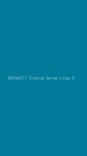 Tampilan Antarmuka Aplikasi Monas77 Tutorial Server Linux - 3