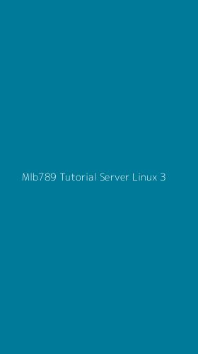 Tampilan Antarmuka Aplikasi Mlb789 Tutorial Server Linux - 3