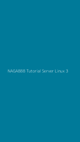Tampilan Antarmuka Aplikasi Naga888 Tutorial Server Linux - 3