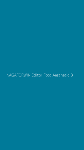 Tampilan Antarmuka Aplikasi Nagaforwin Editor Foto Aesthetic - 3