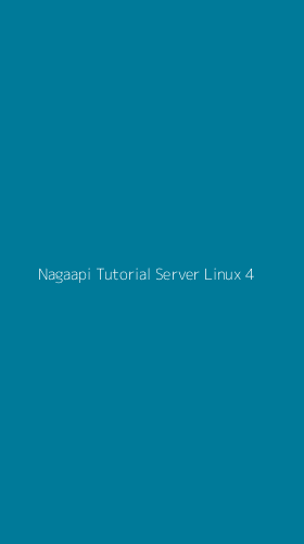 Tampilan Antarmuka Aplikasi Nagaapi Tutorial Server Linux - 4