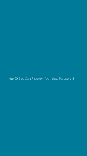 Tampilan Antarmuka Aplikasi Napi69 Slot Cara Recovery Akun Lupa Password - 3