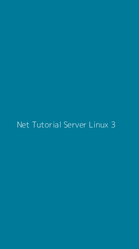 Tampilan Antarmuka Aplikasi Net Tutorial Server Linux - 3