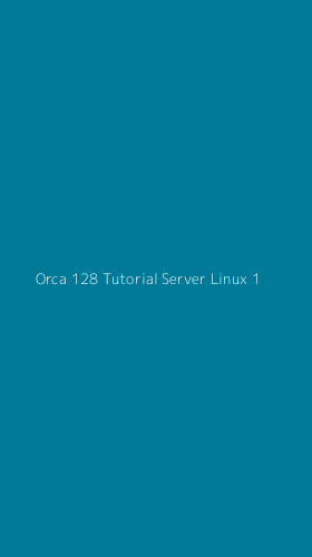 Tampilan Antarmuka Aplikasi Orca 128 Tutorial Server Linux - 1