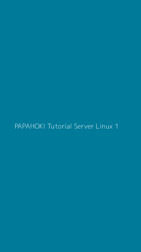 Tampilan Antarmuka Aplikasi Papahoki Tutorial Server Linux - 1