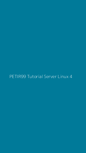 Tampilan Antarmuka Aplikasi Petir99 Tutorial Server Linux - 4