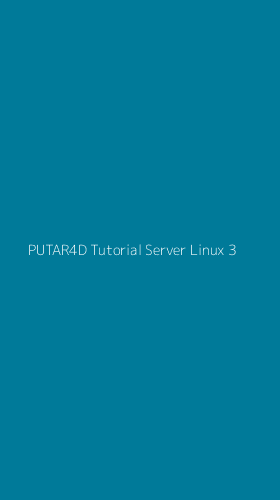 Tampilan Antarmuka Aplikasi Putar4d Tutorial Server Linux - 3